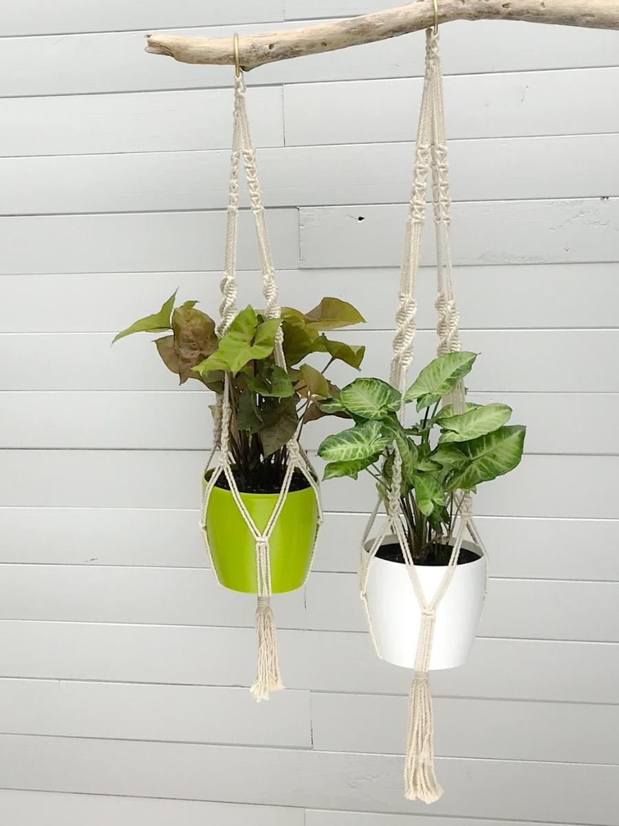 decoracion-con-plantas-maceta-de-colgar-maceta-de-techo-macrame-con-plantas-de-interior-macetero-decorativo-habibi-plantitas.jpg