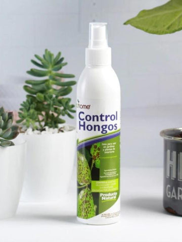 fumigante-natural-para-hongos-jardineria-en-casa-cuidado-de-plantas-hongos-en-plantas-habibi-plantitas_d786af93-5425-4ac2-8264-988b82631bcd.jpg