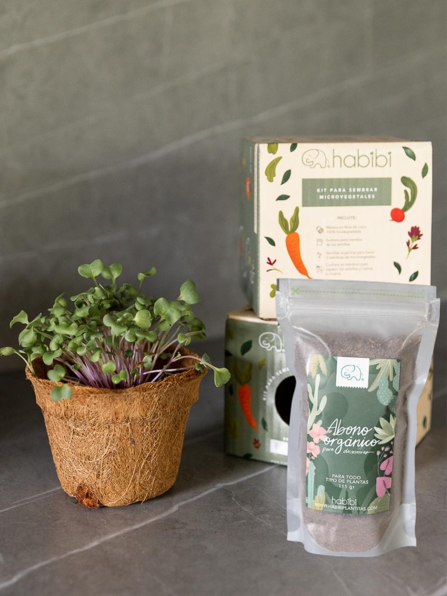 huerta-en-casa-microvegetales-sembrar-aromaticas-germinados-regalos-para-mujeres-detalles-corporativos-habibi-plantitas.jpg