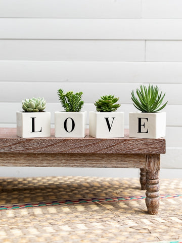 maceta-con-iniciales-palabra-love-suculentas-de-regalo-amor-y-amistad-regalos-para-hombres-regalos-san-valentin-amor-y-amistad-cuidado-de-suculentas-regalo-de-aniversario-habibi-plant.jpg