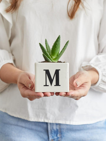 maceta-con-iniciales-suculentas-de-regalo-amor-y-amistad-regalos-para-hombres-regalos-san-valentin-amor-y-amistad-cuidado-de-suculentas-regalo-de-aniversario-habibi-plantitas_f1c0eb62-46e6-437c-8466-9d5caf5ef442.jpg