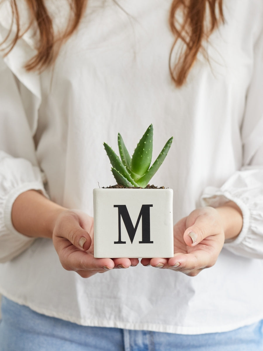 maceta-con-iniciales-suculentas-de-regalo-amor-y-amistad-regalos-para-hombres-regalos-san-valentin-amor-y-amistad-cuidado-de-suculentas-regalo-de-cumpleanos-habibi-plantitas.jpg