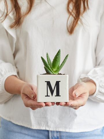 maceta-con-iniciales-suculentas-de-regalo-amor-y-amistad-regalos-para-hombres-regalos-san-valentin-amor-y-amistad-cuidado-de-suculentas-regalo-de-cumpleanos-habibi-plantitas.jpg