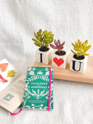 maceta-con-iniciales-suculentas-de-regalo-amor-y-amistad-regalos-para-mujeres-regalos-san-valentin-amor-y-amistad-cuidado-de-suculentas-regalo-de-aniversario-stickers-adhesivos-habibi.jpg