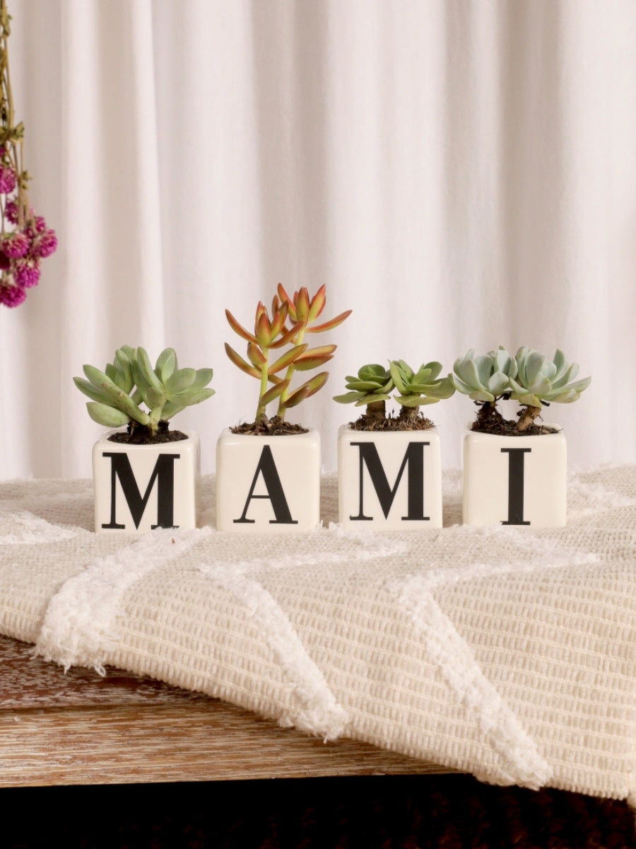 maceta-con-iniciales-suculentas-de-regalo-dia-de-la-madre-regalos-para-mama-cuidado-de-suculentas-habibi-plantitas.jpg
