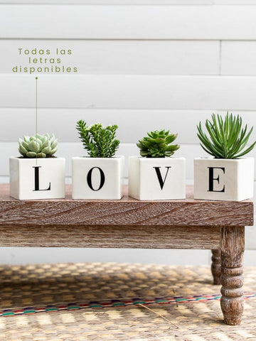 maceta-con-palabras-inicial-suculentas-cactus-regalos-para-mujeres-amor-y-amistad-san-valentin-habibi-plantitas.jpg