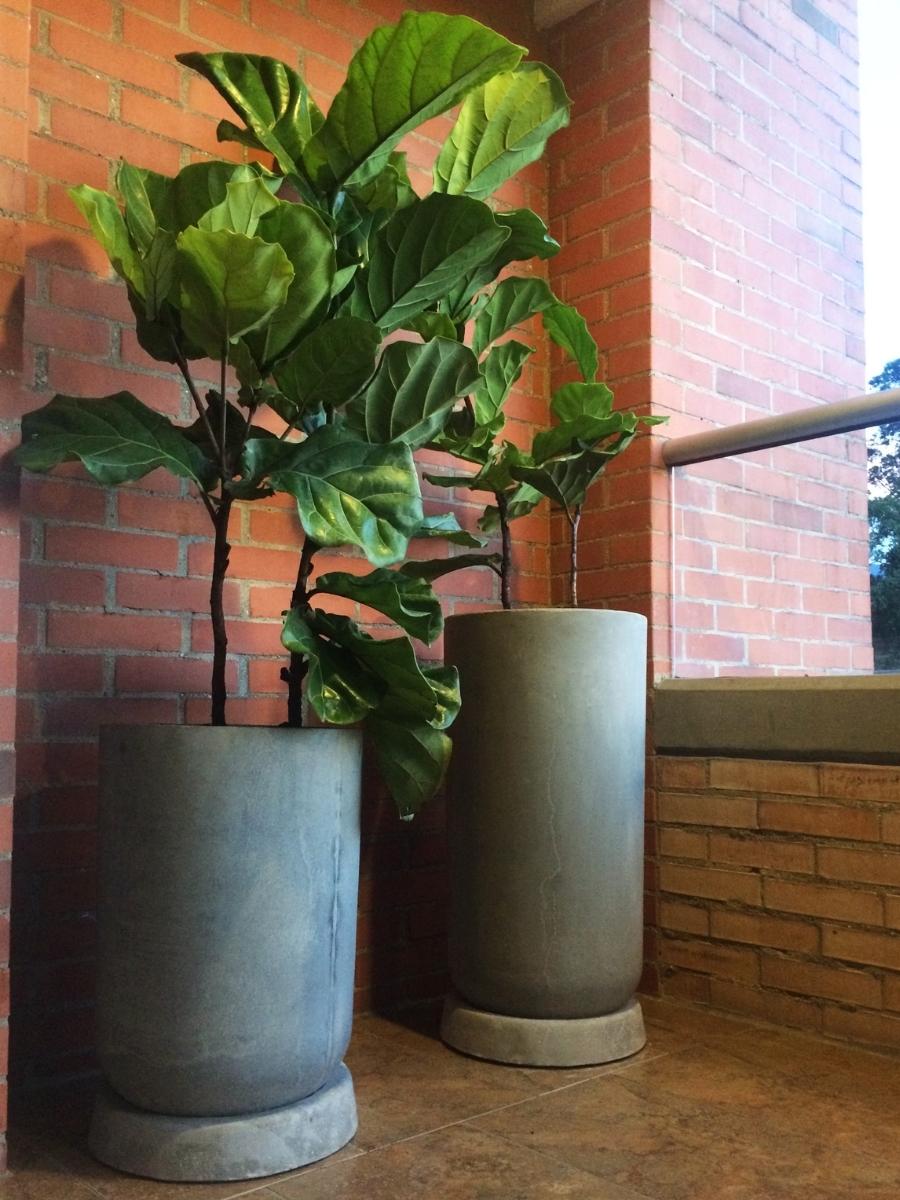 maceta-de-piso-macetas-grandes-en-concreto-para-plantas-de-interior-plantas-de-exterior-macetas-extragrandes-decoracion-habibi-plantitas.jpg