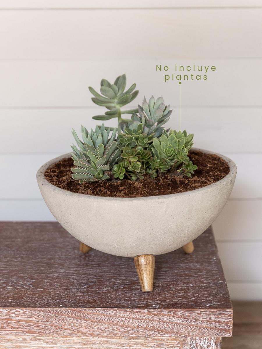 maceta-decorativa-en-concreto-para-suculentas-jardineria-en-casa-materas-artsanales-habibi-plantitas_1795b0cd-03d9-46a8-bbb3-38c6603303e1.jpg