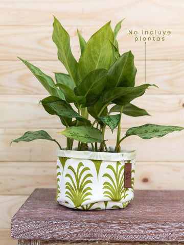maceta-en-tela-para-plantas-de-interior-miami-potos-decoracion-habibi-macetas-decorativas-plantitas_9b4112a6-b579-481f-affe-6e6b21e7e759.jpg