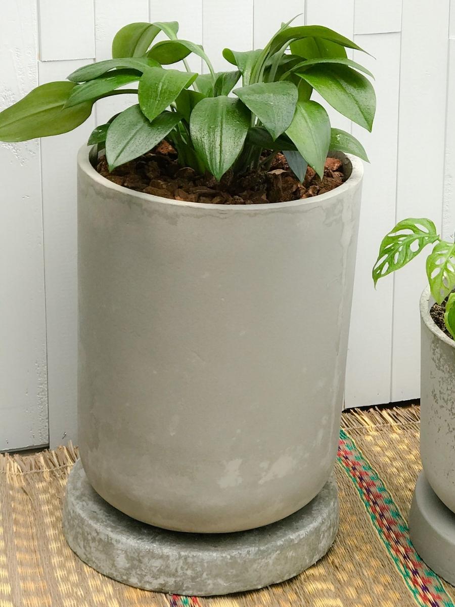 maceta-grande-en-concreto-de-piso-para-plantas-de-interior-plantas-de-exterior-macetas-extragrandes-decoracion-habibi-plantitas.jpg