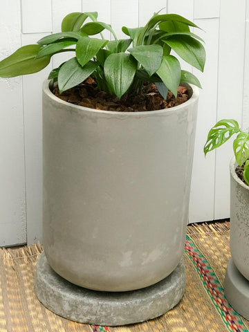 maceta-grande-en-concreto-de-piso-para-plantas-de-interior-plantas-de-exterior-macetas-extragrandes-decoracion-habibi-plantitas.jpg