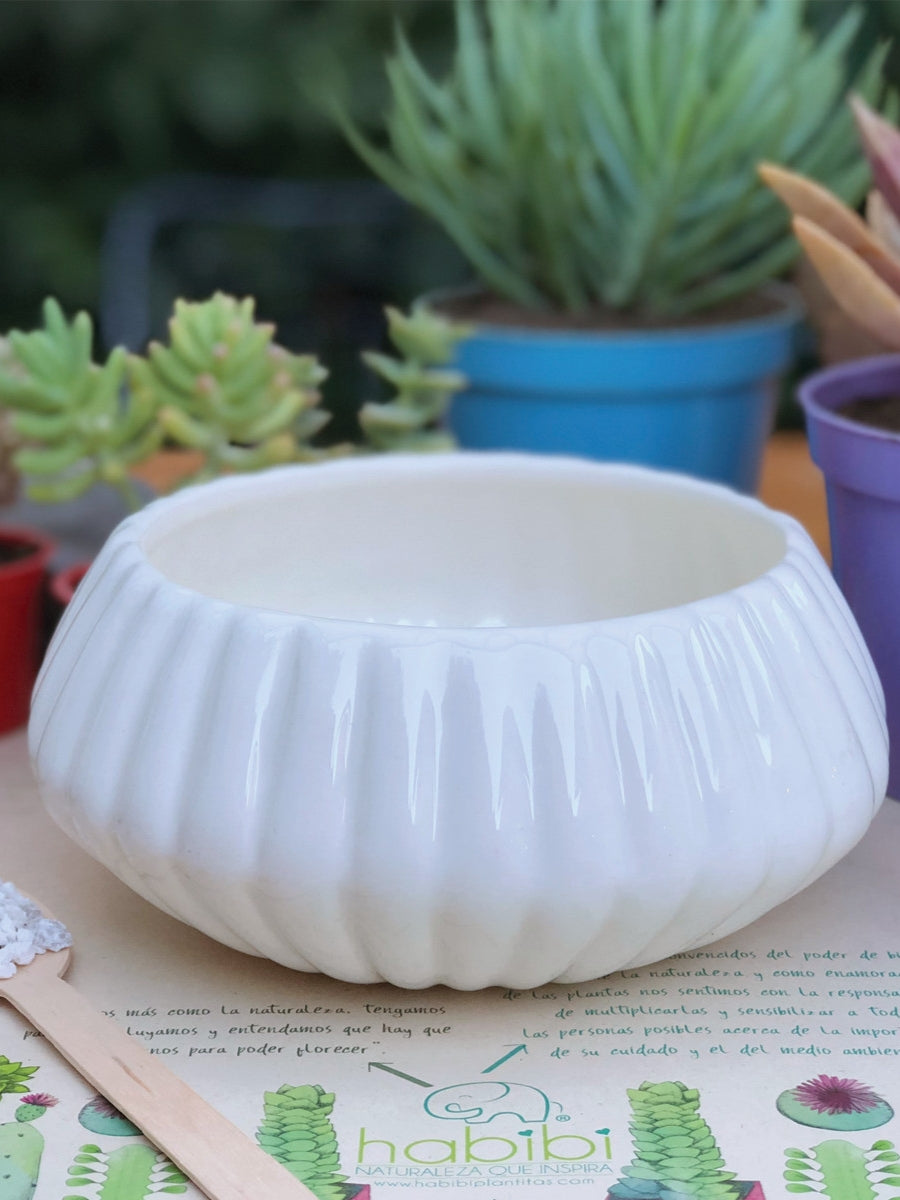 maceta-para-plantas-decorativa-artesanal-hecha-a-mano-decoracion-con-plantas-de-interior-purificadoras-de-aire-regalos-para-mujeres-jardineria-en-casa-habibi-plantitas_80347a73-ada2-407a-bc01-977c1cc34081.jpg
