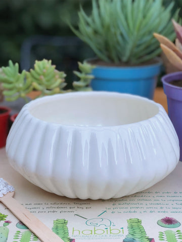 maceta-para-plantas-decorativa-artesanal-hecha-a-mano-decoracion-con-plantas-de-interior-purificadoras-de-aire-regalos-para-mujeres-jardineria-en-casa-habibi-plantitas_80347a73-ada2-407a-bc01-977c1cc34081.jpg