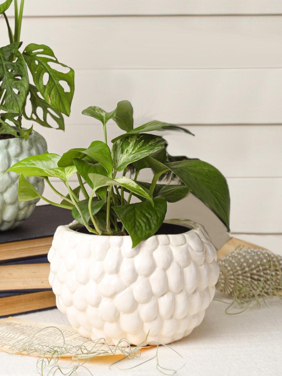 maceta-para-plantas-decorativa-artesanal-hecha-a-mano-decoracion-con-plantas-de-interior-purificadoras-de-aire-regalos-para-mujeres-miami-potos-potus-habibi-plantitas_jpg.jpg