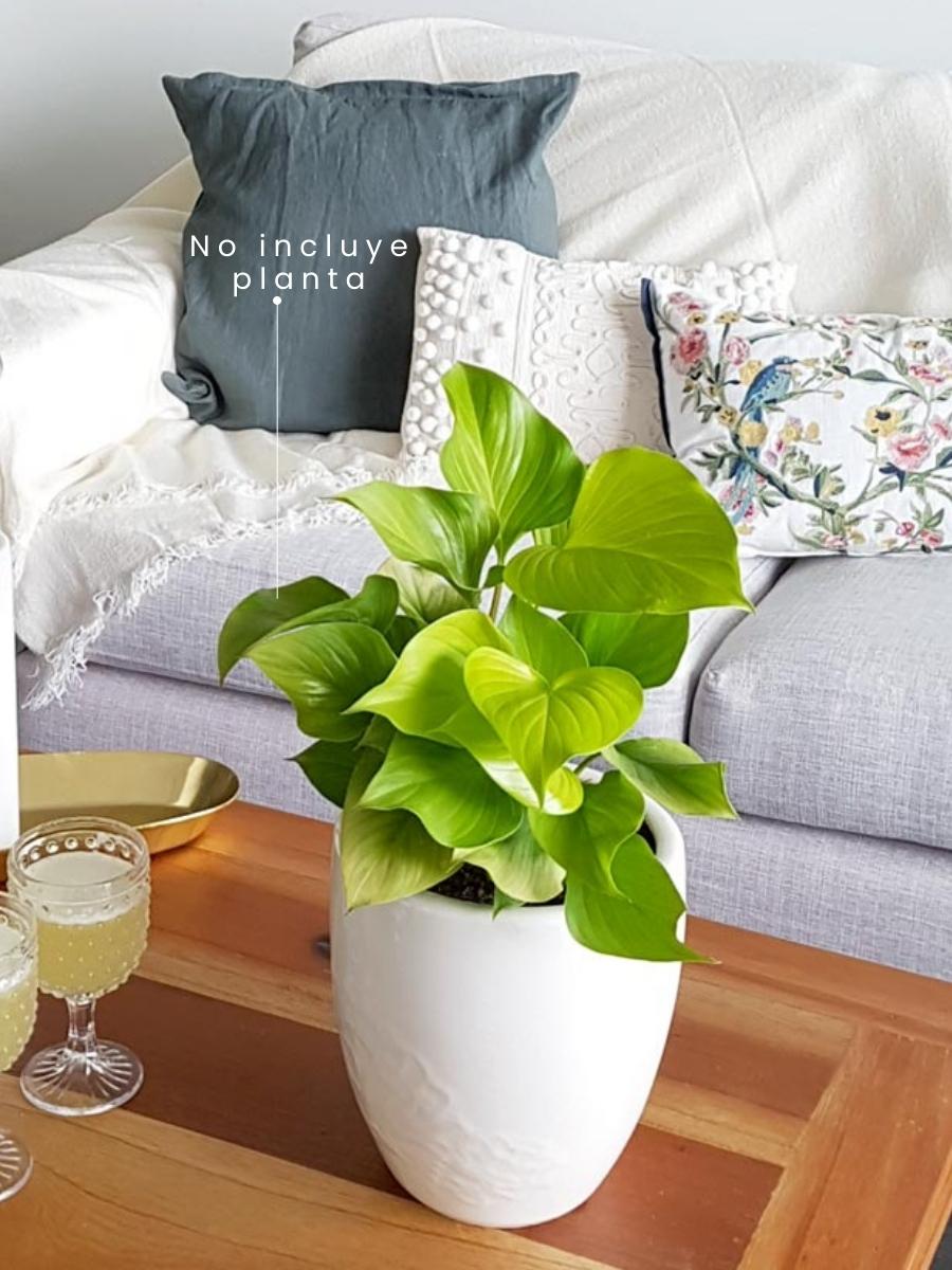 maceta-para-plantas-en-ceramica-plantas-de-interior-decoracion-del-hogar-decoracion-con-plantas-regalos-para-nuevo-hogar-habibi-plantitas_5e1e5465-6c28-4ed6-9635-a69dc02a5678.jpg