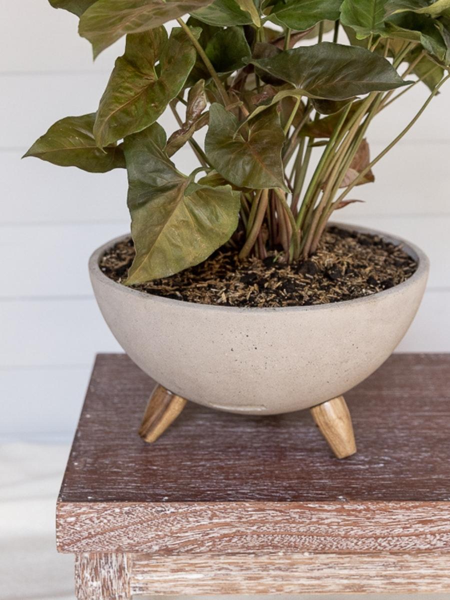 maceta-para-plantas-en-concreto-con-patas-de-madera-planta-de-interior-purificadora-de-aire-decoracion-con-plantas-jardineria-en-casa-habibi-plantitas.jpg