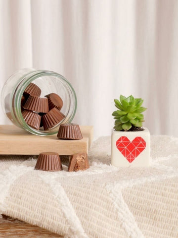 maceta-personalizada-con-iniciales-suculentas-de-regalo-amor-y-amistad-regalos-para-hombres-regalos-san-valentin-amor-y-amistad-regalo-con-chocolates-cuidado-de-suculentas-regalo-de-a_45e9a5dd-a4e7-44d4-81ba-9008e660d837.jpg