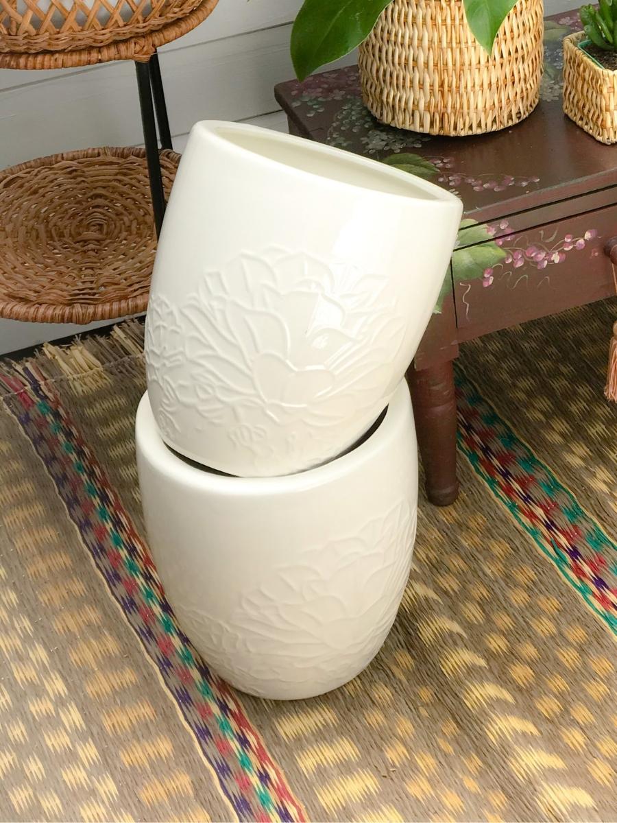 macetas-para-plantas-de-interior-decoracion-con-plantas-plantas-purificadoras-plantas-faciles-de-cuidar-jardineria-en-casa-habibi-plantitas_0b8d7af1-d125-4b56-aad8-2f982d6465de.jpg