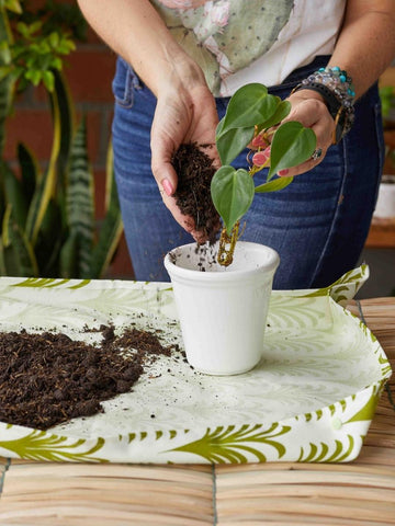 mat-de-siembra-herramientas-jardineria-en-casa-tapete-de-siembra-habibi-plantitas.jpg