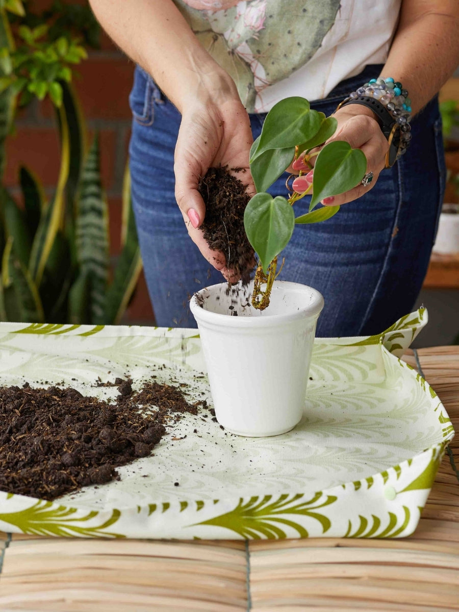 mat-para-sembrar-herramientas-para-siembra-implementos-para-hacer-jardineria-en-casa-cuidados-de-plantas-de-interior-habibi-plantitas.jpg
