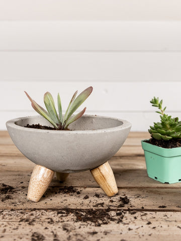 mini-suculentas-cactus-regalos-para-mujer-regalo-para-condolencias-cuidados-de-suculentas-decoracion-para-oficinas-siembra-suculentas-maceta-en-concreto-habibi-plantitas_b6a163aa-7a97-403a-beaa-706e815820c7.jpg