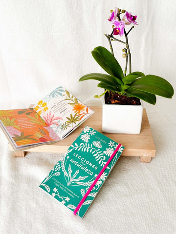orquidea-baby-phalaenopsis-mini-maceta-ceramica-stickers-regalos-para-condolencias-regalos-para-mujer-habibi-plantitas.jpg