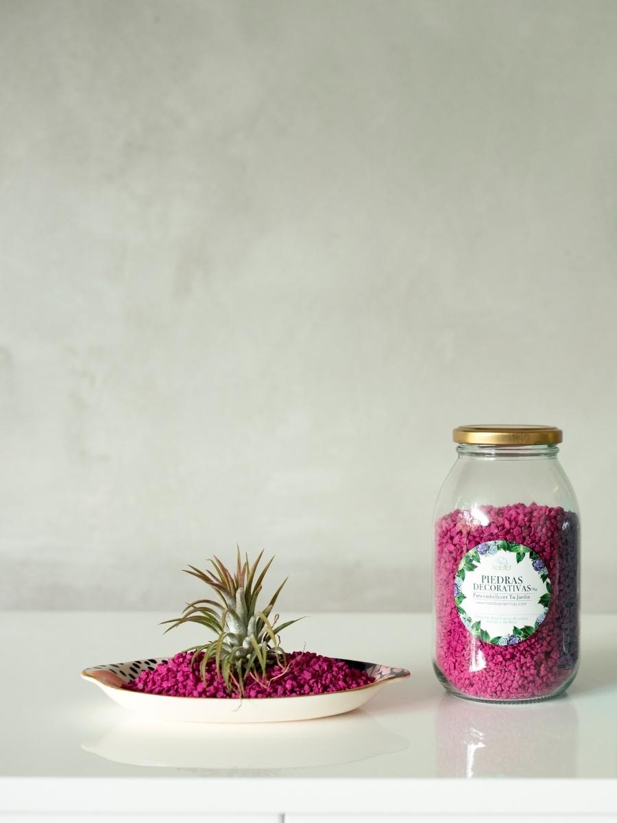 piedras-decorativas-para-plantas-jardineria-en-casa-decoracion-de-plantas-piedras-de-colores-para-plantas-habibi-plantitas_1c930bfe-63ea-4b01-a389-b31abdc0e9aa.jpg