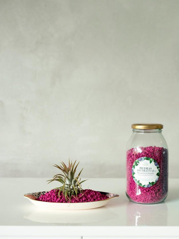 piedras-decorativas-para-plantas-jardineria-en-casa-decoracion-de-plantas-piedras-de-colores-para-plantas-habibi-plantitas_1c930bfe-63ea-4b01-a389-b31abdc0e9aa.jpg
