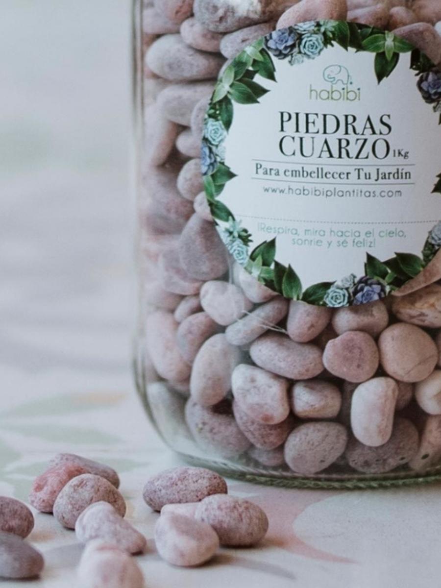 piedras-decorativas-para-plantas-jardineria-en-casa-decoracion-de-plantas-plantas-habibi-plantitas_a58c130f-e082-4ac0-9b49-974d2525d36e.jpg