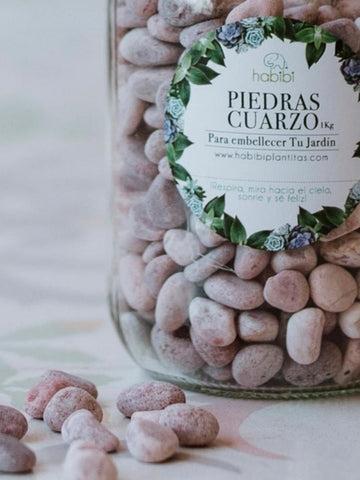 piedras-decorativas-para-plantas-jardineria-en-casa-decoracion-de-plantas-plantas-habibi-plantitas_a58c130f-e082-4ac0-9b49-974d2525d36e.jpg