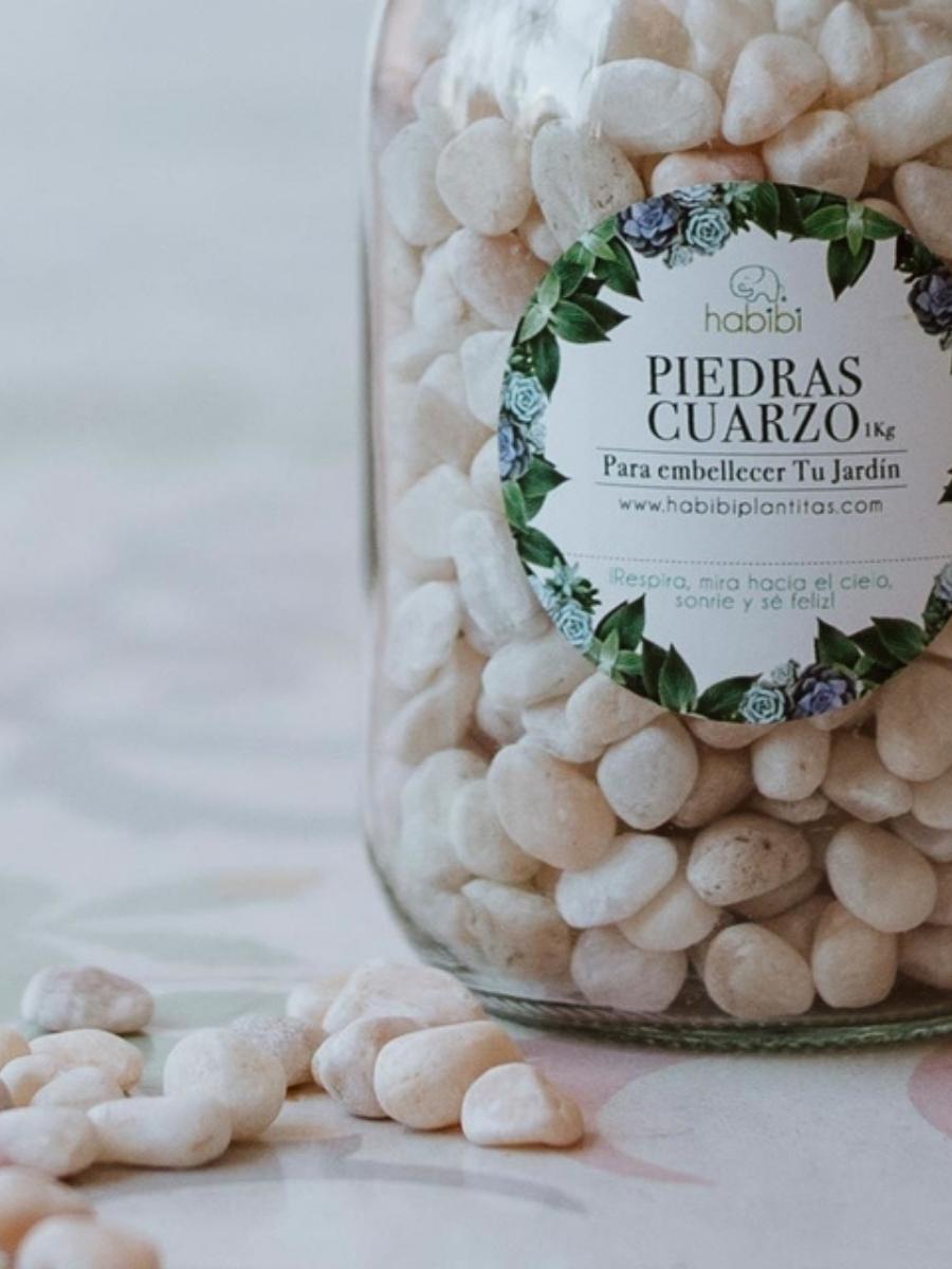 piedras-decorativas-para-plantas-jardineria-en-casa-piedras-cuarzo-decoracion-de-plantas-plantas-habibi-plantitas.jpg
