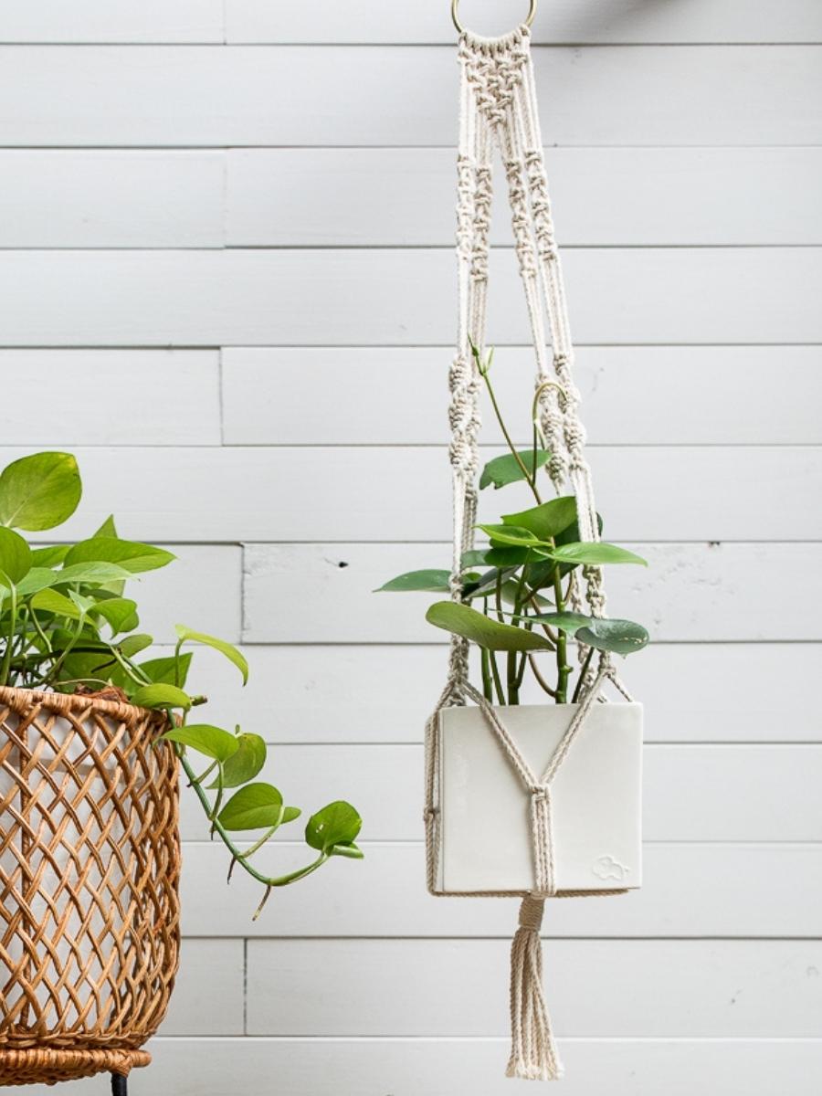 planta-de-interior-peperomia-maceta-ceramica-decorativa-para-plantas-plantas-purificadoras-habibi-plantitas.jpg