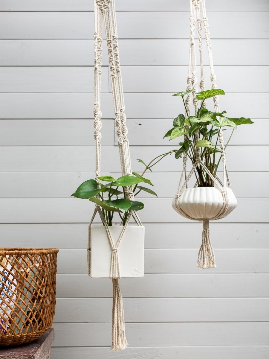 plantas-de-interior-peperomia-maceta-ceramica-decorativa-para-plantas-plantas-purificadoras-macrame-habibi-plantitas.jpg