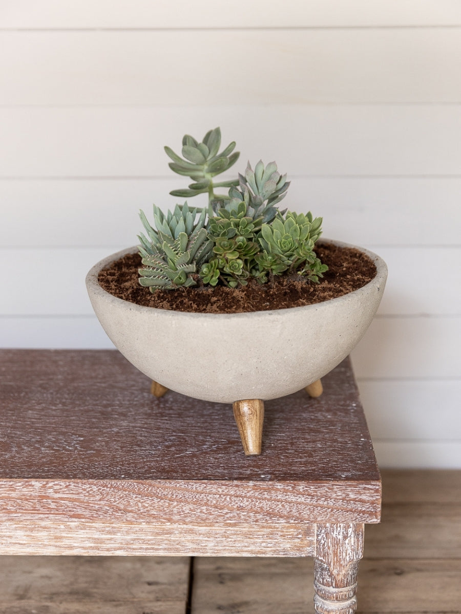 plantas-suculentas-regalos-para-mujer-regalo-para-hombres-cuidados-de-suculentas-decoracion-para-oficinas-siembra-suculentas-maceta-en-concreto-jardineria-habibi-plantitas.jpg