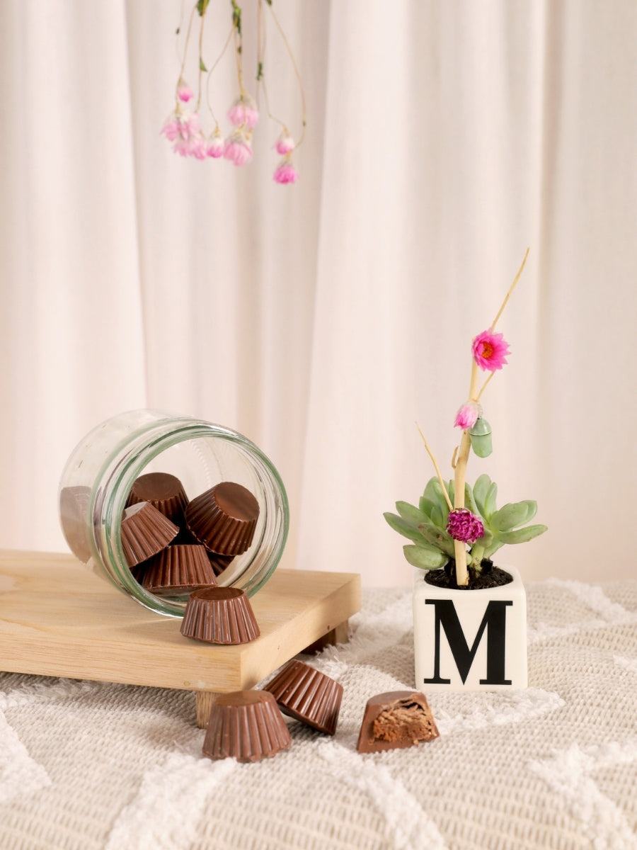 regalo-con-suculentas-maceta-personalizada-con-letras-crisalida-de-mariposa-capullo-pupa-regalo-con-chocolates-regalo-de-condolencias-regalo-de-suculentas-habibi-plantitas.jpg