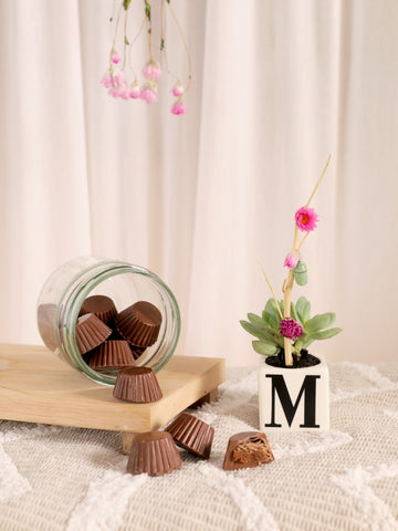 regalo-con-suculentas-maceta-personalizada-con-letras-crisalida-de-mariposa-capullo-pupa-regalo-con-chocolates-regalo-de-condolencias-regalo-de-suculentas-habibi-plantitas.jpg