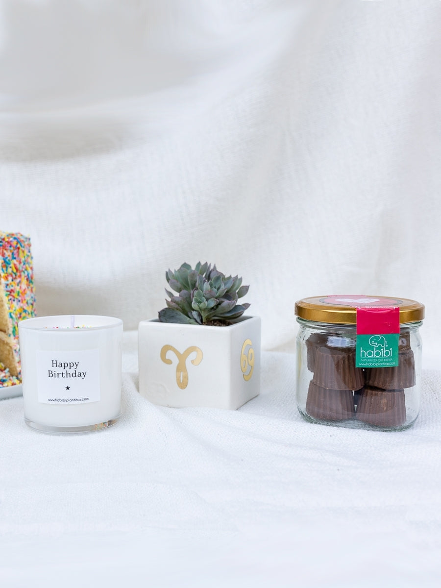 regalo-de-cumpleanos-suculenta-signo-zodiaco-chocolates-vela-cumpleanos-habibi-plantitas.jpg