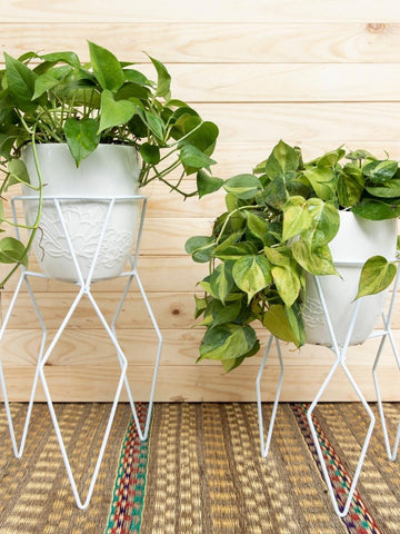 soportes-de-piso-para-plantas-macetas-hierro-decoracion-con-plantas-habibi-plantitas.jpg