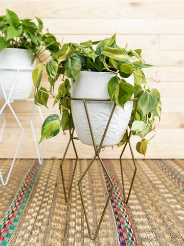 soportes-de-piso-para-plantas-macetas-hierro-decoracion-habibi-plantitas.jpg