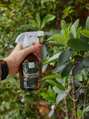 spray-para-plantas-de-interior-atomizador-de-agua-jardineria-en-casa-cuidado-de-plantas-habibi-plantitas.jpg