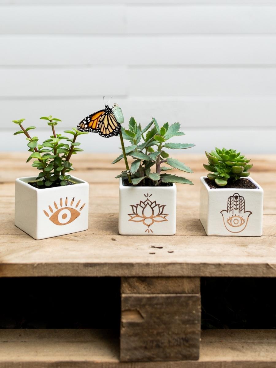 suculenta-amuleto-mano-hamsa-tercer-ojo-flor-de-loto-regalos-yogui-regalos-para-mujeres-suculentas-cactus-crisalida-capullo-de-mariposa-pupa-habibi-plantitas.jpg