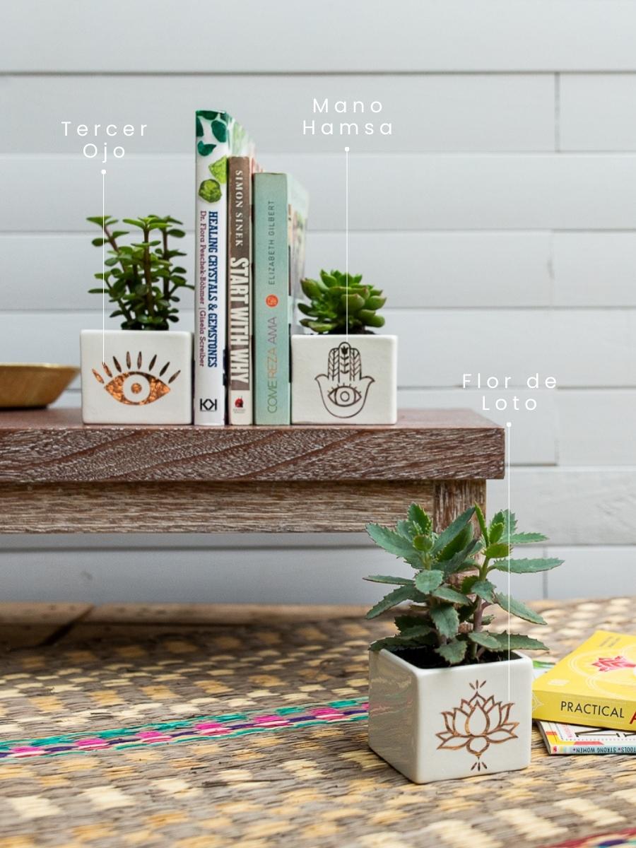 suculenta-amuleto-mano-hamsa-tercer-ojo-flor-de-loto-regalos-yogui-regalos-para-mujeres-suculentas-cactus-habibi-plantitas_016b988c-1e55-496e-a580-850f9a3a705a.jpg