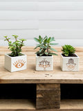 suculenta-amuleto-mano-hamsa-tercer-ojo-flor-de-loto-regalos-yogui-regalos-para-mujeres-suculentas-cactus-habibi-plantitas.jpg