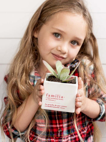 suculenta-ana-listas-familia-para-regalar-ideas-de-regalo-navidad-regalos-para-mi-esposo-regalos-dia-de-la-madre-habibi-plantitas_0b32ec0c-49fa-491b-859c-f52e5d72cdc7.jpg
