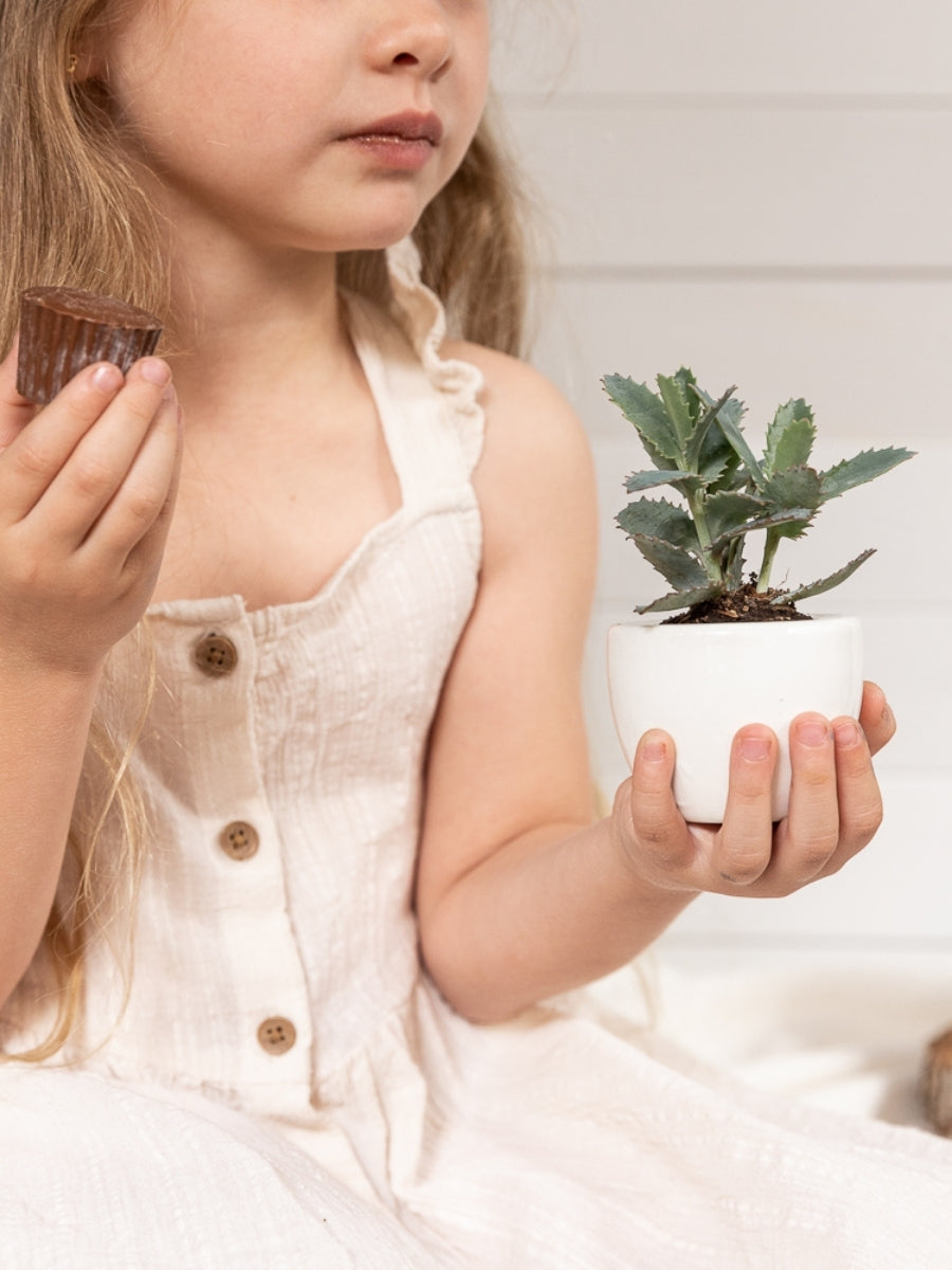 suculenta-chocolates-cactus-regalos-de-cumpleanos-cuidado-de-las-suculentas-maceta-ceramica-habibi-plantitas.jpg