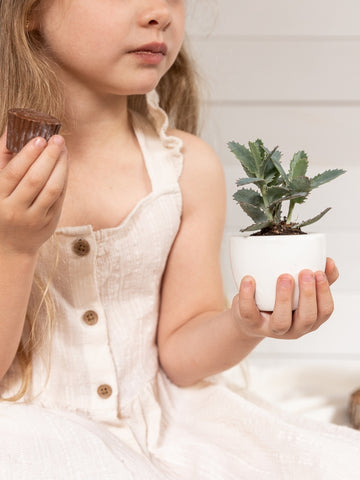 suculenta-chocolates-cactus-regalos-de-cumpleanos-cuidado-de-las-suculentas-maceta-ceramica-habibi-plantitas.jpg