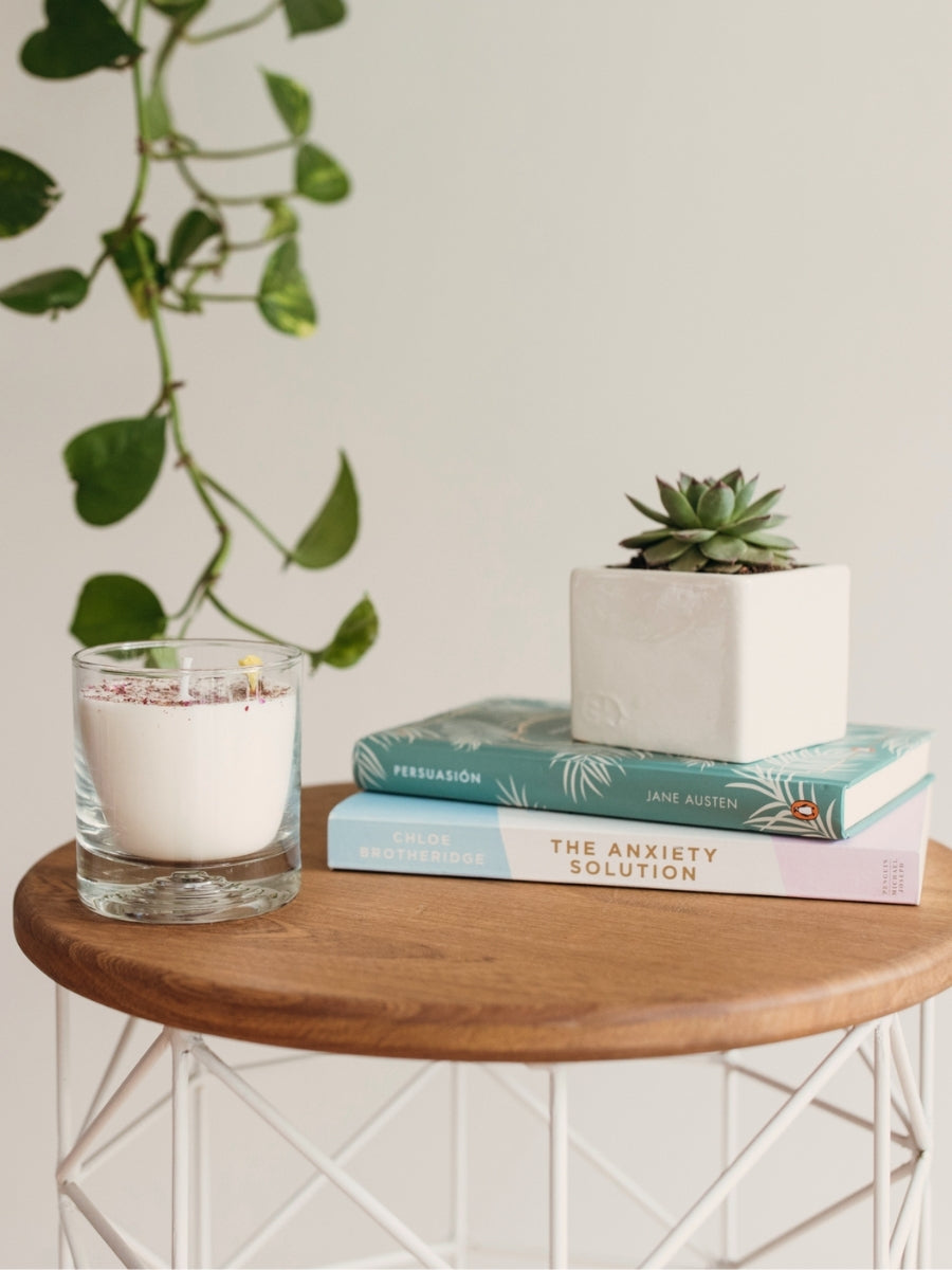 suculenta-mini-cactus-regalos-con-suculentas-regalos-para-mujeres-regalos-para-condolencias-vela-aromatica-verbena-tranquilidad-calma-vela-para-meditacion-habibi-plantitas.jpg