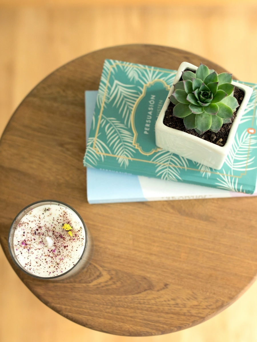 suculenta-regalos-con-suculentas-regalos-para-mujeres-regalos-para-condolencias-vela-aromatica-verbena-tranquilidad-calma-habibi-plantitas.jpg