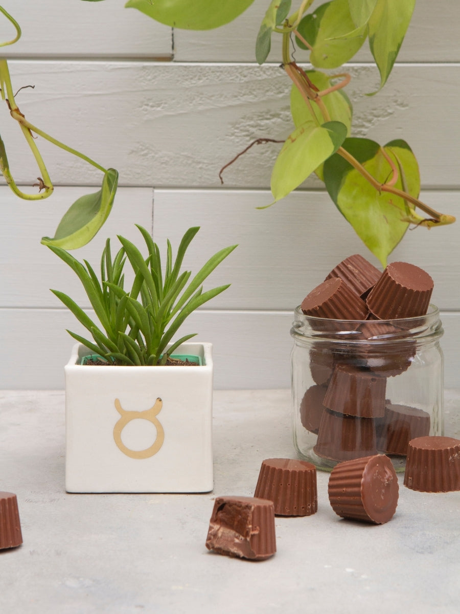 suculenta-signo-de-zodiaco-astrologia-chocolates-cactus-regalos-de-cumpleanos-regalos-para-mujer-cuidados-de-suculentas-habibi-plantitas.jpg