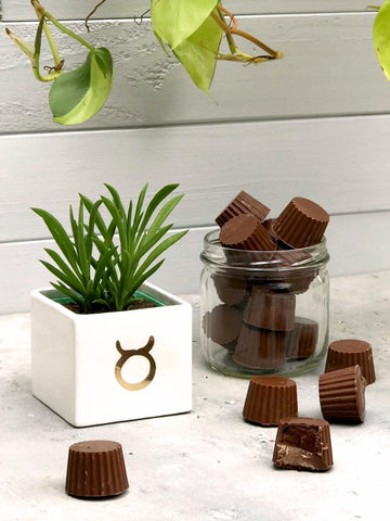 suculenta-signo-de-zodiaco-astrologia-chocolates-cactus-regalos-de-cumpleanos-regalos-para-mujer-cuidados-de-suculentas-habibi-plantitas_099fb1e5-f4cc-467a-a070-0ed93def094e.jpg